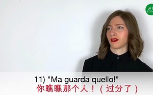 意大利手势 I gesti italiani