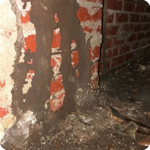 Houston Termite Control - Free Termite Inspections - Arrow Termite & Pest Control