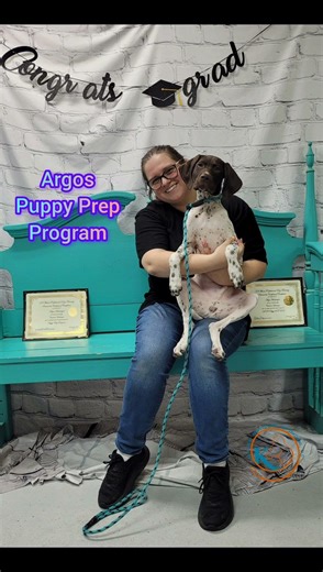 K9 Fluent Dog Training Graduates | Balanced Dog Training Success Stories