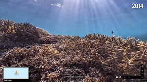 Google Street View has an underwater version that lets you explore the world’s seabeds