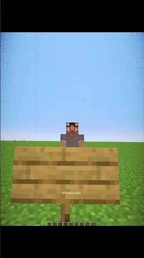 Minecraft F3 Secret Commands Settings Moment