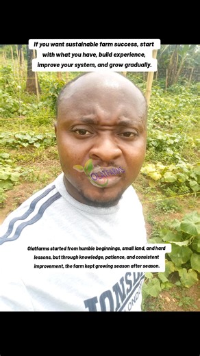 Many people see the results today… But very few know the story behind it. Olatfarms did not start big. There was a time the land was small. Capital was limited. Resources were few. And experience was still growing. I didn’t have everything figured out. There were failed attempts. There were losses. There were seasons that tested my patience. There were times when the harvest was not what I expected. But one thing remained constant — I kept learning. I studied the soil. I improved my agronomy. I 