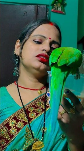 parrot talking sound 🦜🦜🦜🦜🦜,🐦 parrot#YouTube#viral#short#video