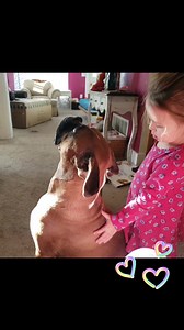 Little girls and dogs, there is nothing cuter. #kidsanddogs #boxerdog #boxerdogs | Its a Boxer Dog Life
