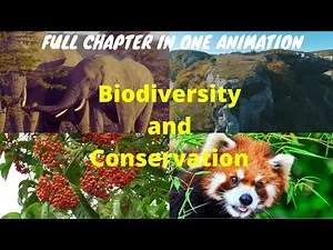 Biodiversity And Conservation!! Short Animated Videography!!! NCERT Biology Class 12!! 2021!!