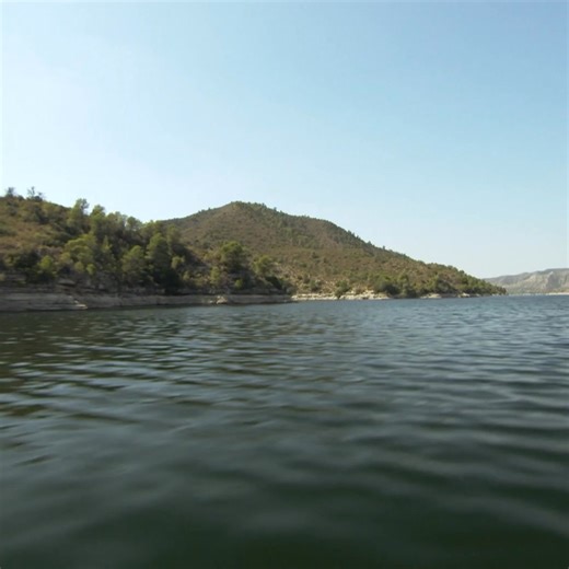 Wels Catfish ATTACKS camera underwater #rivermonsters #fishing #jeremywade #catfish | River Monsters Global