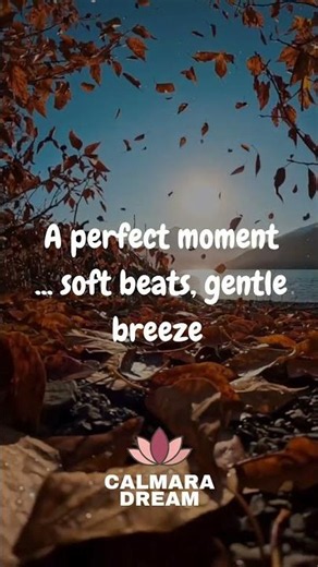 Autumn Leaves and Soft Beats 🍂 | Cozy Lofi for Peaceful Days
