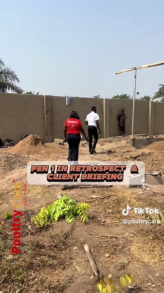 Cost-Effective Poultry Farm Project in Osun State