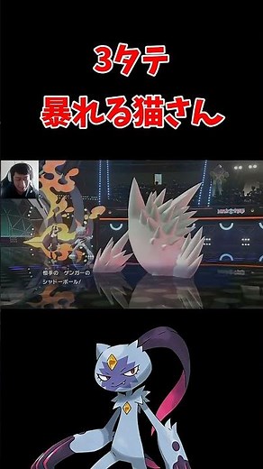 The Strongest Cat in the Pokémon World【Pokémon Champions】