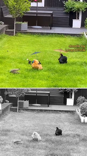 592K views · 50K reactions |  LADIES  #throwback #leopartnik...