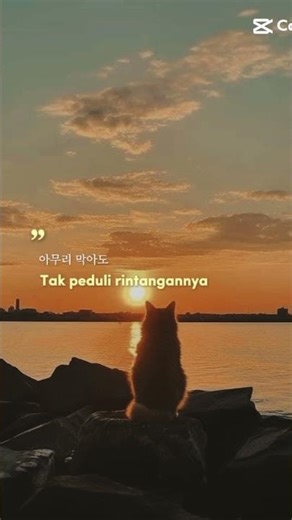 Way Back Home #capcut #waybackhome #songjapan #candu #hiiteman