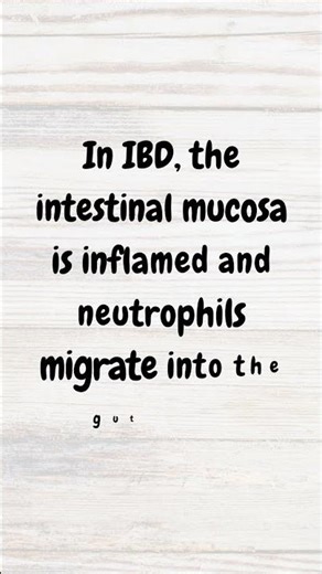 Why is calprotectin high in IBD but normal in IBS? | #MRCP revision | #shorts #ibs #crohnsandcolitis