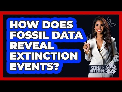 How Does Fossil Data Reveal Extinction Events?