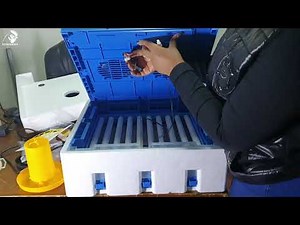 Solar Incubator, Fully Auto controlled 12v Dc, 220v Ac 64 eggs and 128 eggs incubator manual