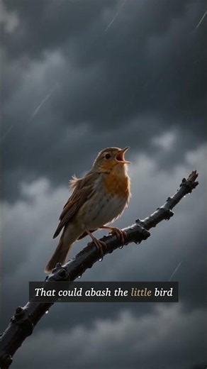 Hope is the thing with feathers — Emily Dickinson (Read Aloud) 🕊️