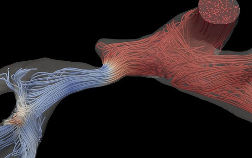 Simvascular Tutorial Series 三维建模 搬运