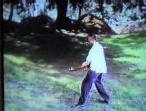 Xing Yi Quan 12 Animals