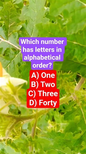 Which number has letters in alphabetical order?