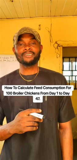 Calculate Broiler Chicken Feed Consumption Accurately