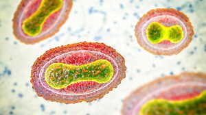 It's easier than ever to make DNA from scratch—but what are the risks?