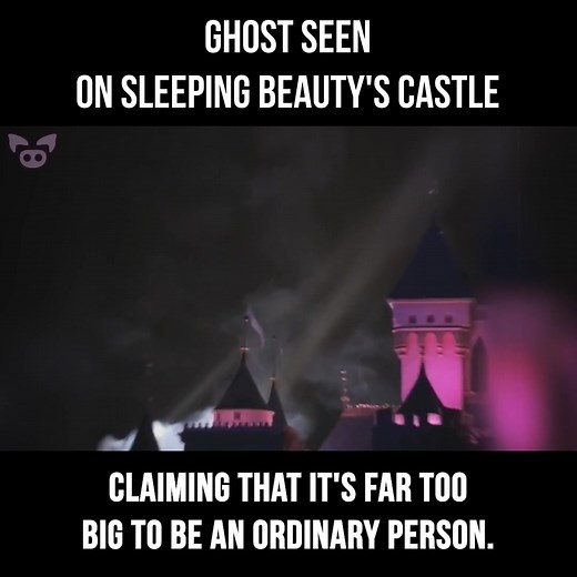 Ghost Seen on Sleeping Beauty's Castle. #ScaryVideos #SlappedHam #HauntedTikTok #Creepy #Ghost #Horror #Spooky #YouTube #ScaryTikToks #Paranormal #FYP