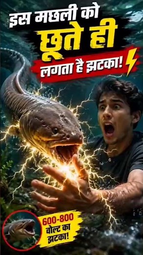 ⚡What happens if you touch an Electric Eel? The answer will shock you! #viral #electricfish #ocean