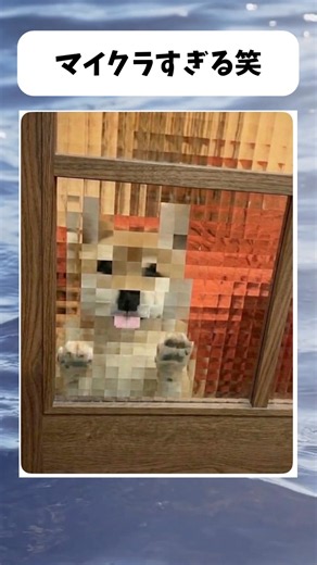 可愛すぎるマイクラ犬発見！ #おすすめ #バズれ
