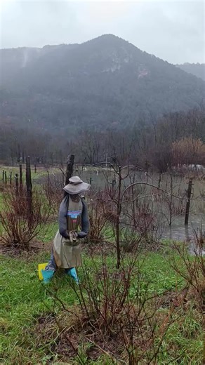 les piments du bout du monde 🤘🏻🌶️ on Instagram: "Un mois plus tard, on prend les mêmes et on recommence ! Heureusement on est l hiver, on a rien qui craint vraiment (même si l'ail et les oignons commencent à faire la tête...🤣rho le jeu de mot) Comme m'a dit une amie, le Nil permet une bonne terre, on voit le côté positif !!! 🚣🏻‍♂️👨🏻‍🌾"