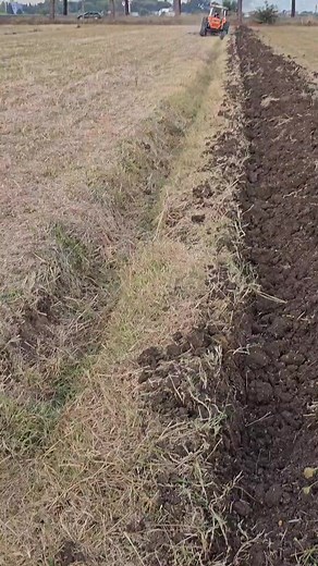 120K views · 2.2K reactions | Fiat 850 power | World Tractor Power | Facebook