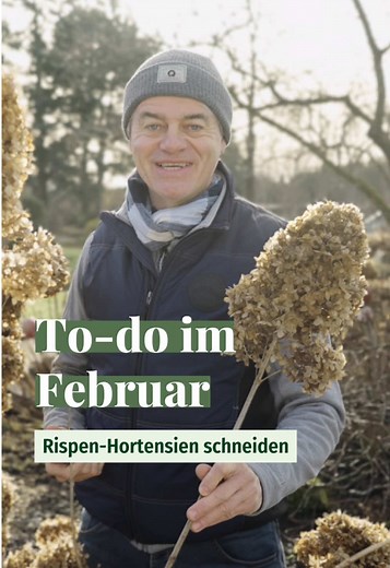 Reminder ‼️✂️🌿 #hortensien #pflanzen #garten #lernenmittiktok #meinschönergarten