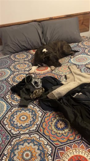 Station 2 restaurant, and motel Durbin, West Virginia