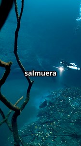 Las puerta del infierno submarinas #MisteriosDelOcéano #PuertasDelInfierno #LagosLetales #OcéanoProfundo #SalmueraMortal #SecretosDelMar #ExploraciónSubmarina #FenómenosNaturales | Misterios ancestrales