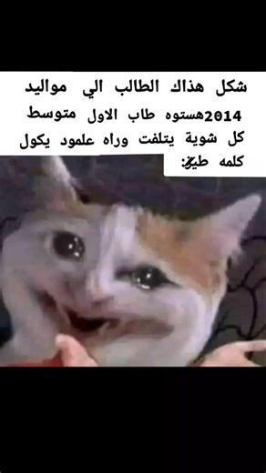 فيديوهات أنشأها الياس (الي مايحب يشوفكم) (@3x_.0x) باستخدام الصوت الأصلي - الياس (الي مايحب يشوفكم)