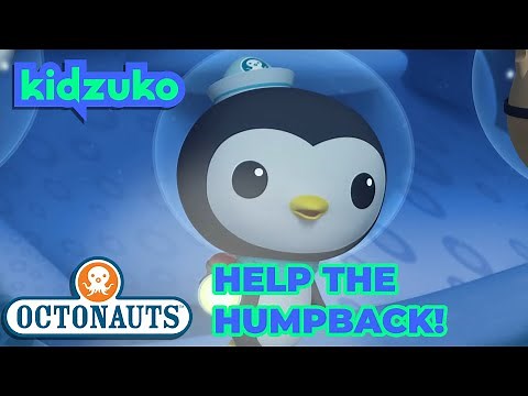 ​‪@Octonauts‬ - The Mixed Up Whales | Full Episode 16 | ‪@Kidzuko‬