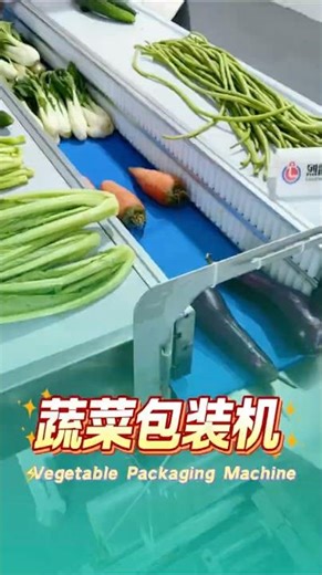 Factory veggie packing speed doubled! One machine does the work of 5 workers,