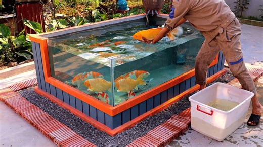 DIY outdoor aquarium: Build, design & decorate!