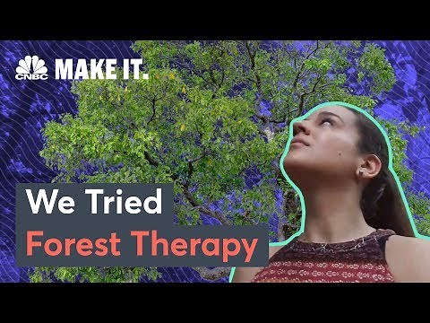 What Is Forest Therapy?