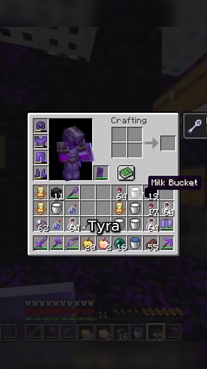 9.8K views · 87 reactions | Wemmbu Breaking Into Minecraft's Most Illegal Vault Part 9 | Wemmbu Clips | Facebook