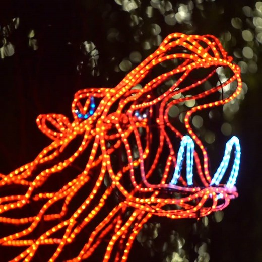 How to make the most of Zoolights 💡 | Oregon Zoo