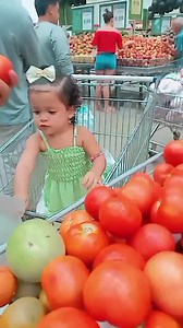 Ja sabe até escolher os tomates 😂😂🤭 | Raquel Lobato Lobato