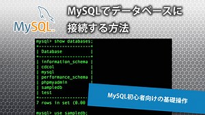MySQLでデータベースに接続する方法【初心者向け】