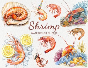 Shrimp Watercolor Clipart - 24 PNG Cute Shrimp Clip Art, Marine Theme Decor, Scrapbooking, Junk Journal, Instant Digital Download - Etsy