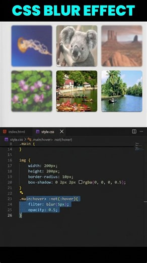 This CSS Hover Effect Is TOO Satisfying 🤯🔥 | HTML & CSS #shorts
