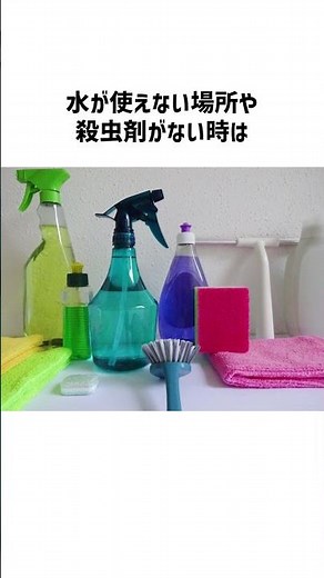 ベランダの赤い虫「タカラダニ」の正しい撃退法