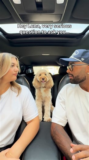 She was genuinely torn 🥺 #dogs #puppylove #minicockapoo | Luna The Mini Cockapoo