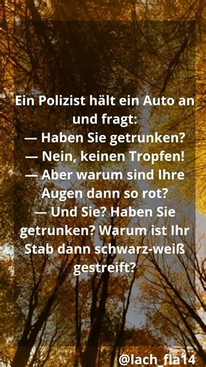 Ein Polizist hält ein Auto an und fragt..#shorts #witz #humor #lustig #notlandung
