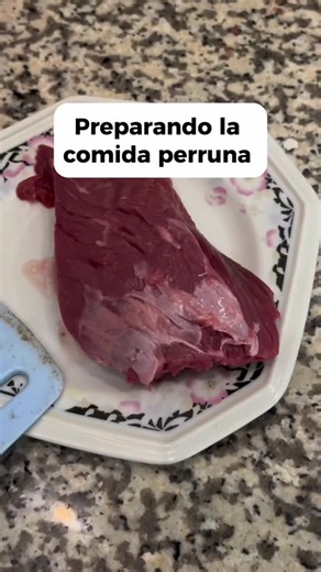 Preparando comida para perros pug 🐾😋