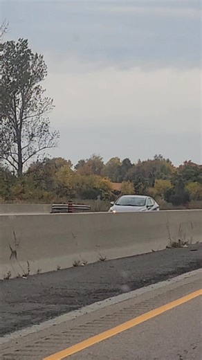 #fallautumn | Ruby Tomblinson