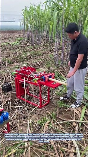Sugar Cane Harvesting: Unveiling the Cane Sugar Stripping Machine