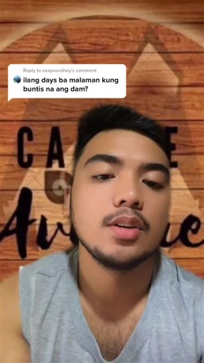 How to Tell if Your Husky is Pregnant | Kennel Tips